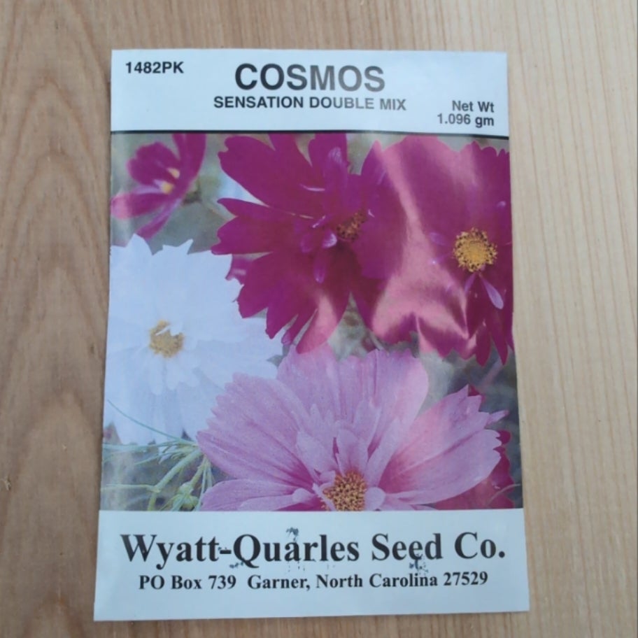 Cosmos Sensation Double Seed Packet Midnight Bee Supply