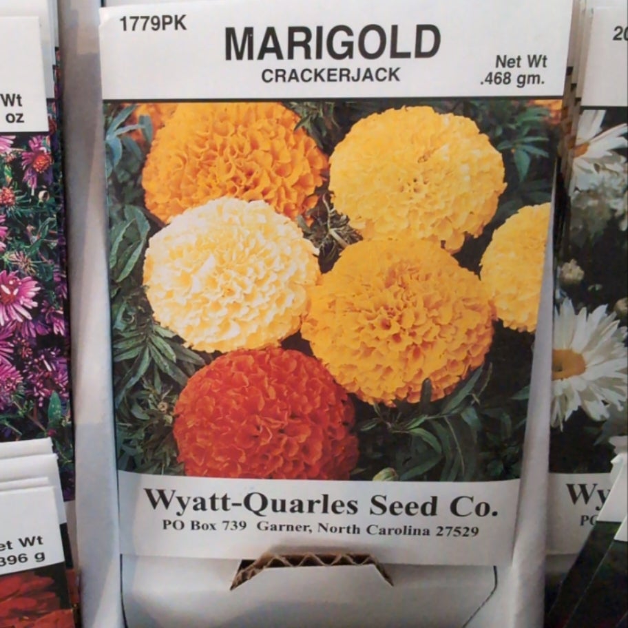 Marigold Cracker Jack Seed Packet | Midnight Bee Supply