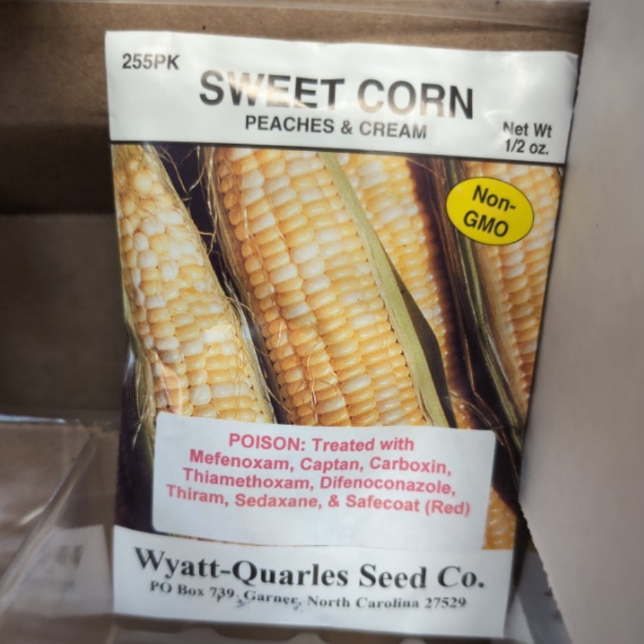 Sweet Corn Peaches And Cream Seed Packet Midnight Bee Supply