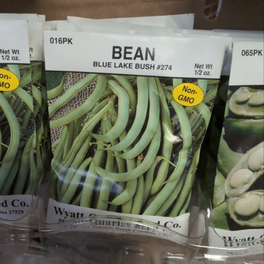 Bean Blue Lake Bush 274 Seed Packet | Midnight Bee Supply